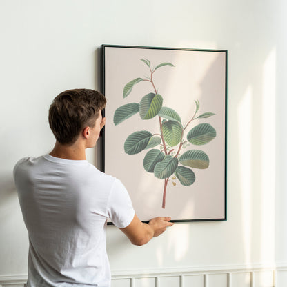 Ready-to-Frame Print